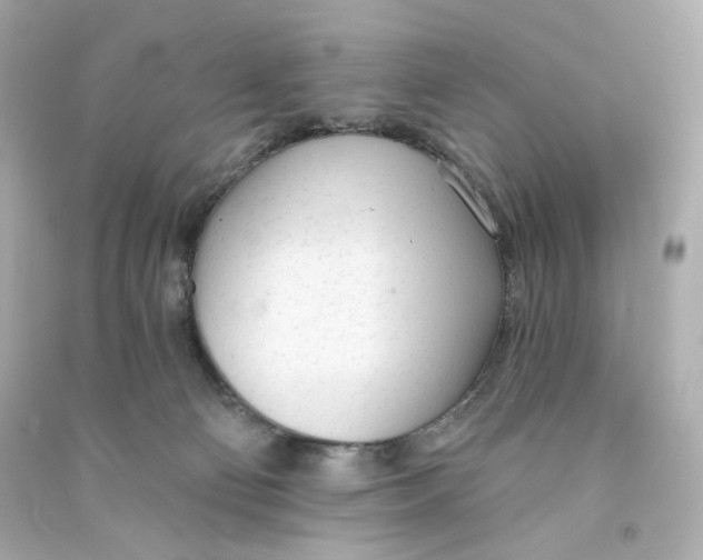 X0000090460130200708102119