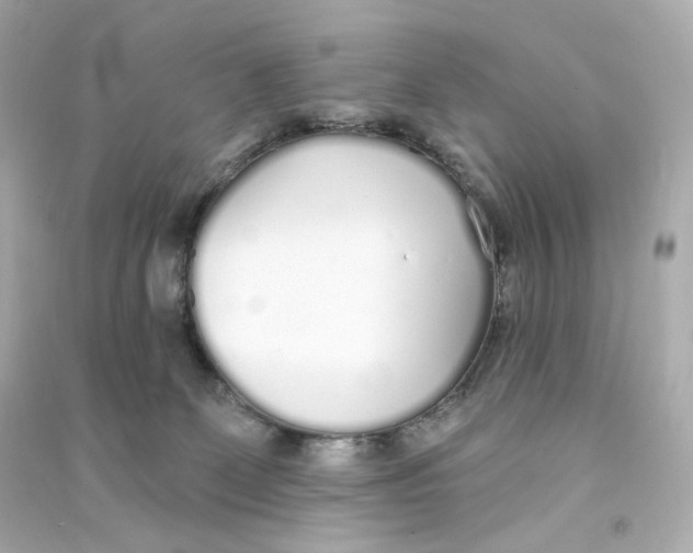 X0000090460131200708102119