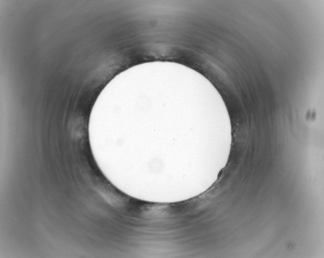 X0000090460132200708102119