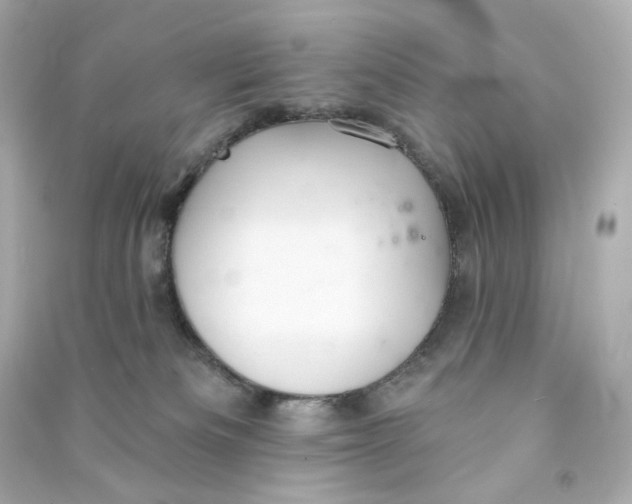 X0000090460133200708102119