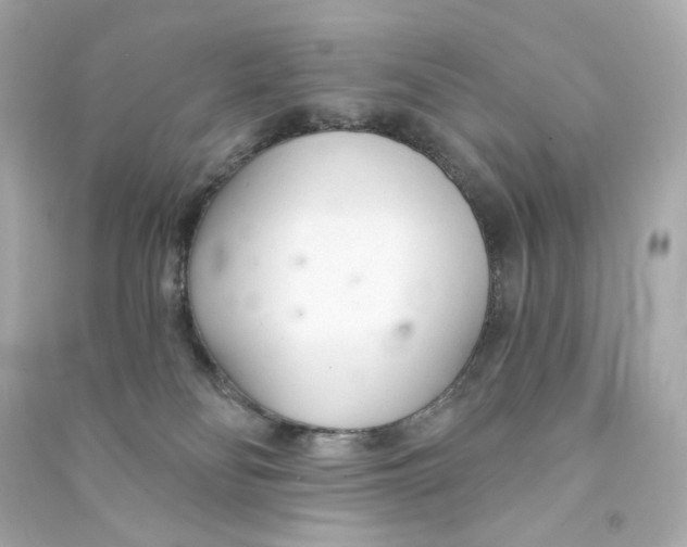 X0000090460134200708102119