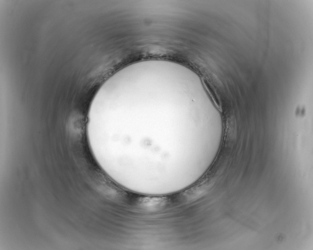 X0000090460135200708102119