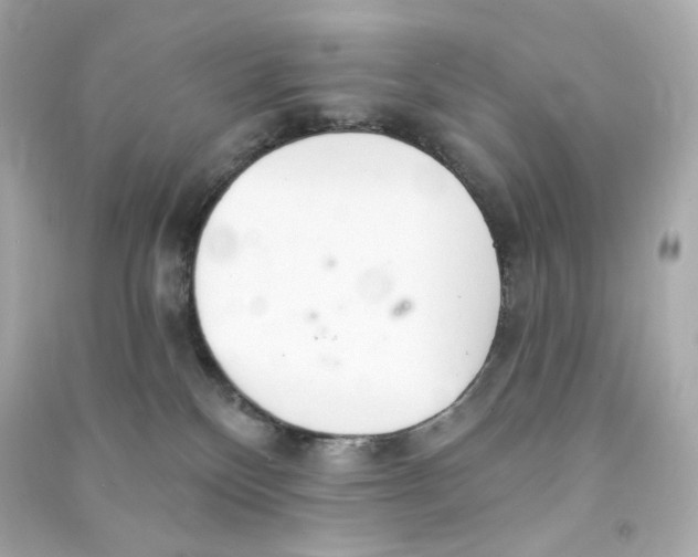 X0000090460136200708102119