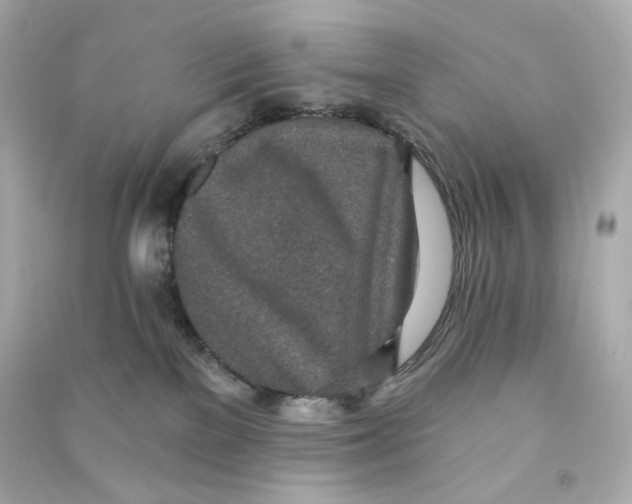 X0000090460137200708102119