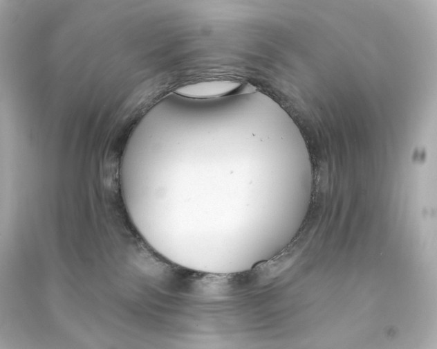 X0000090460138200708102119