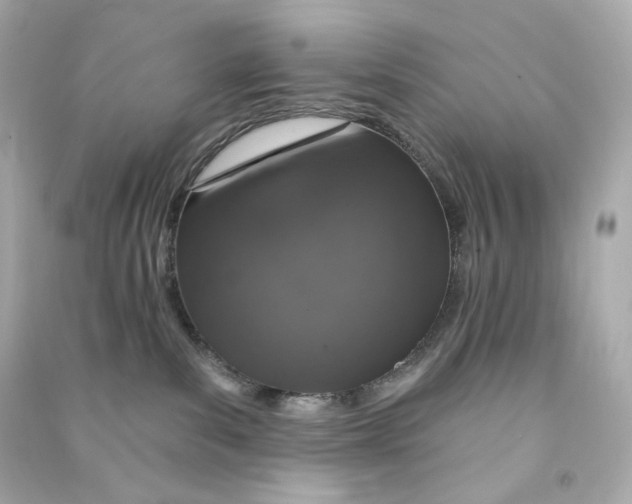 X0000090460139200708102119