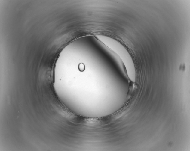 X0000090460141200708102119