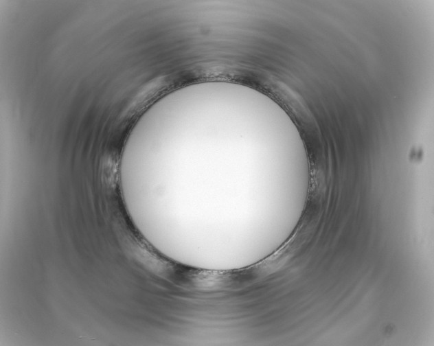 X0000090460142200708102119