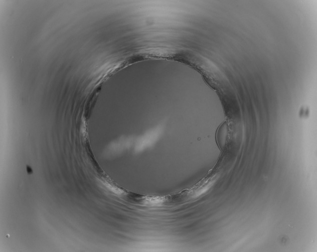 X0000090460143200708102119