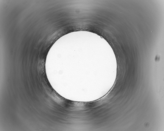 X0000090460144200708102119