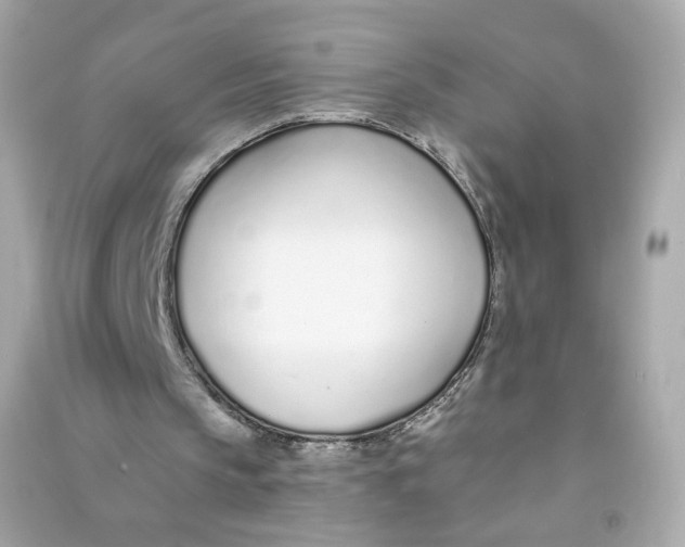 X0000090460145200708102118