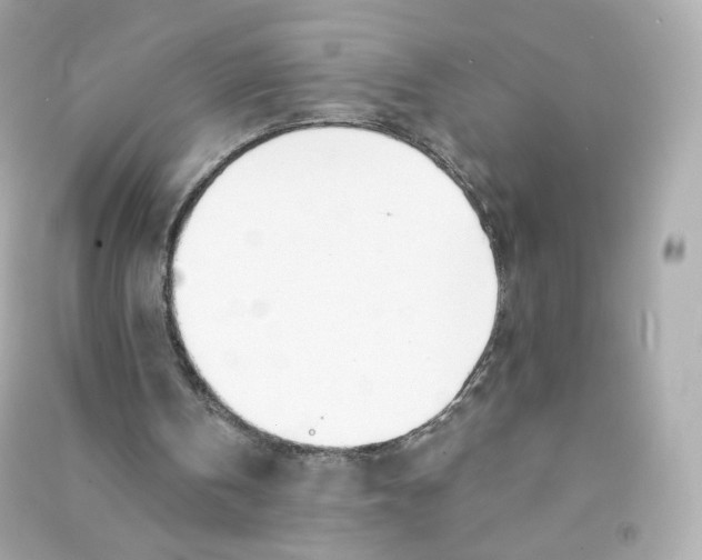 X0000090460146200708102118