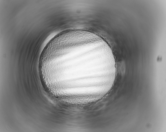 X0000090460147200708102118