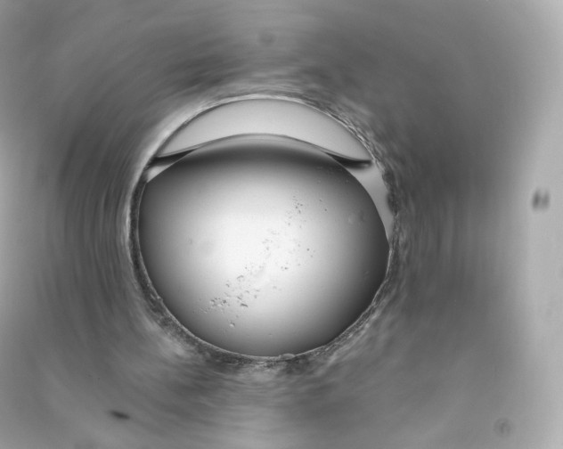 X0000090460148200708102118