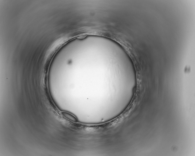 X0000090460149200708102118