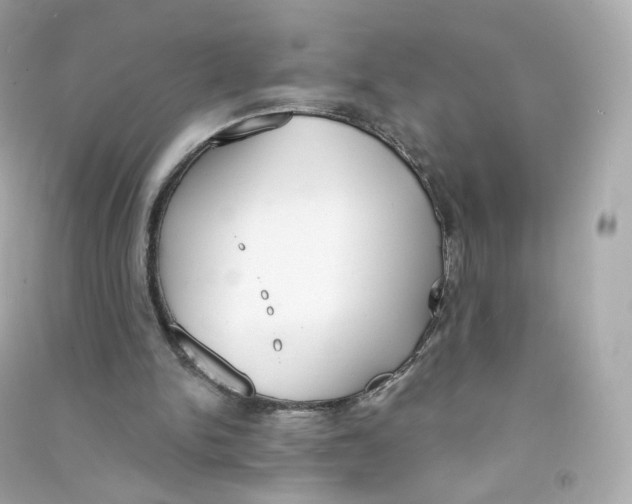 X0000090460150200708102118