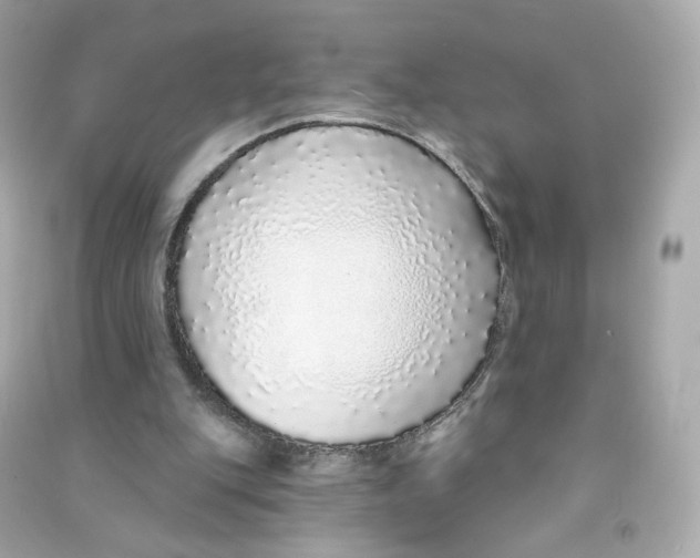 X0000090460151200708102118