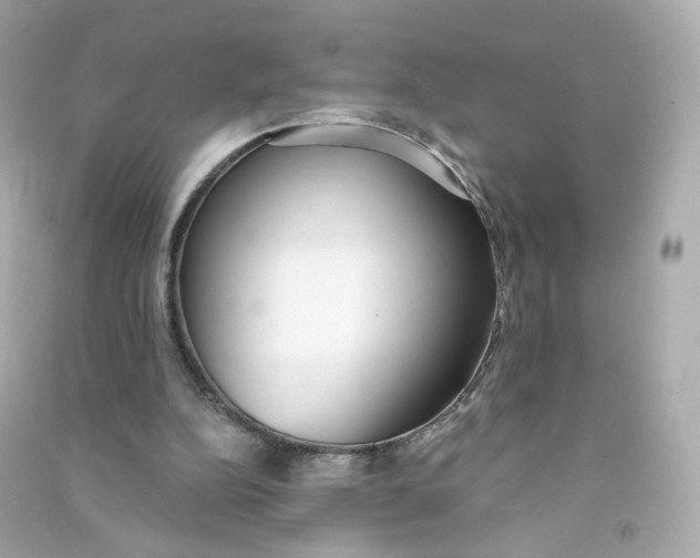 X0000090460152200708102119