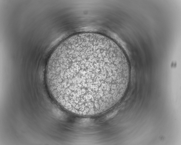 X0000090460153200708102119