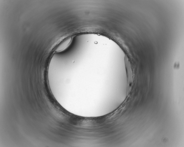 X0000090460154200708102119