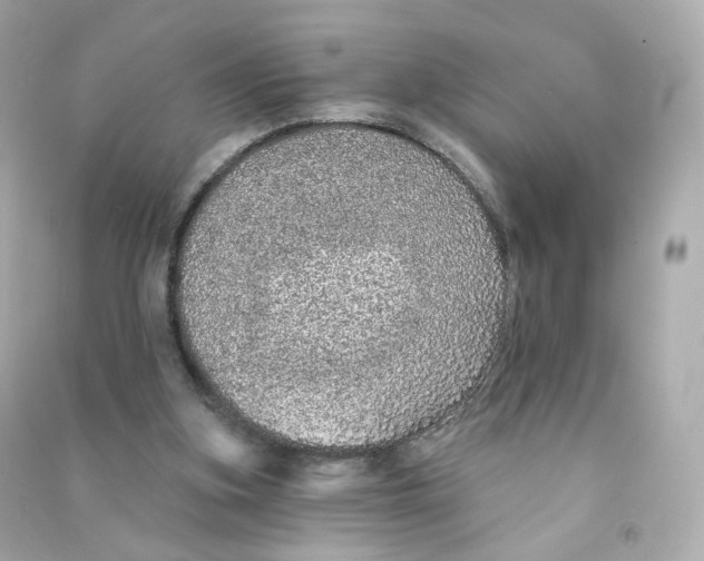 X0000090460155200708102119