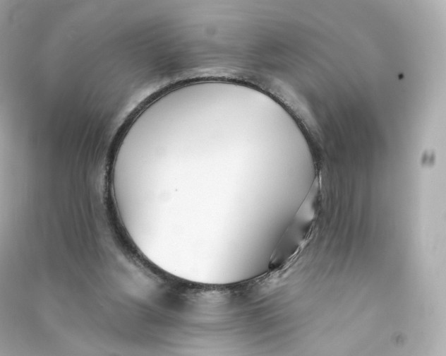 X0000090460156200708102119