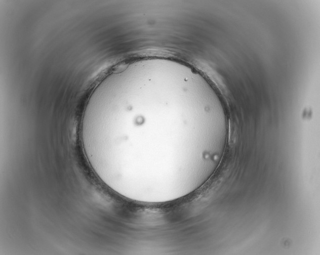 X0000090460157200708102119