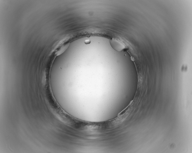 X0000090460158200708102119