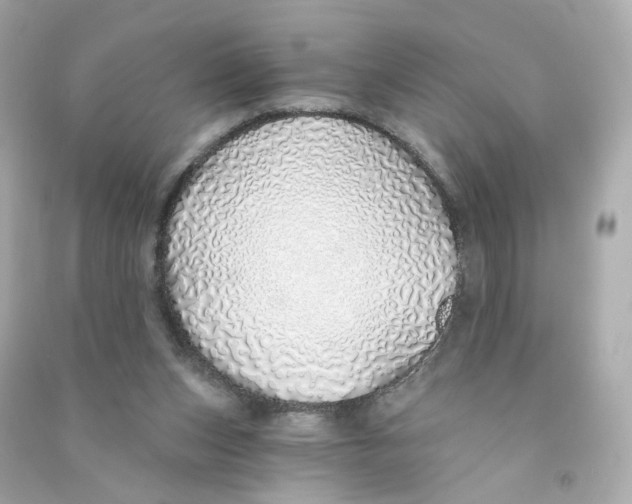 X0000090460159200708102119