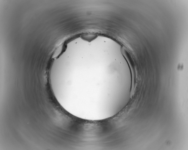 X0000090460160200708102119