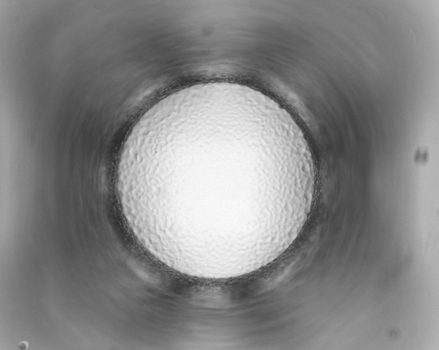 X0000090460161200708102119