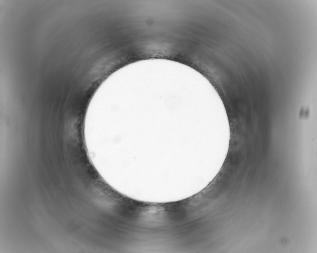 X0000090460162200708102119