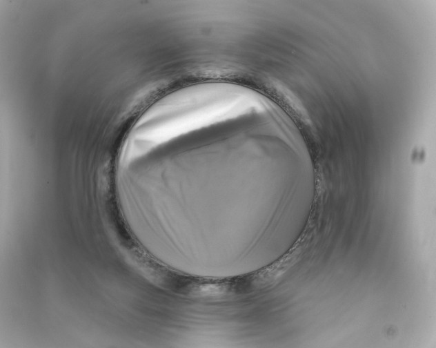 X0000090460163200708102119