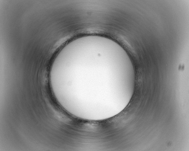 X0000090460164200708102119