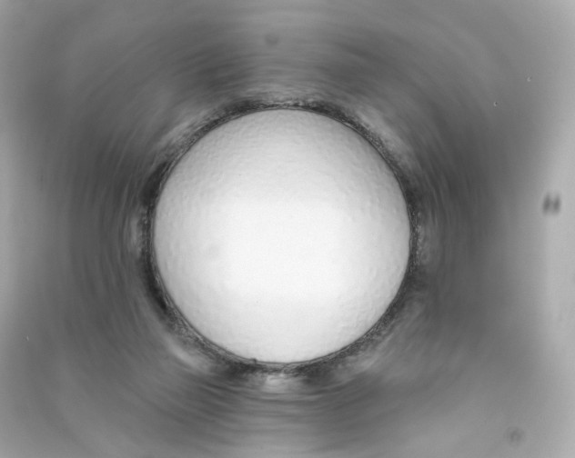 X0000090460165200708102119