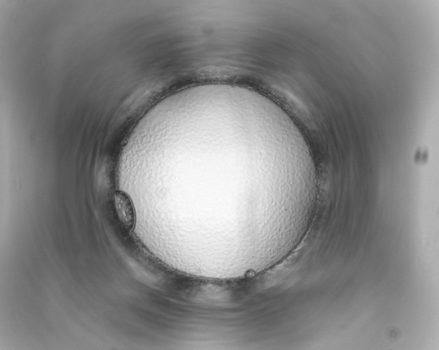 X0000090460166200708102119