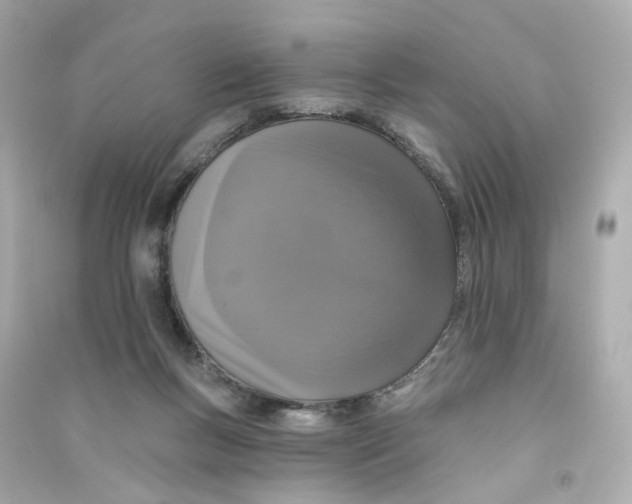 X0000090460167200708102119