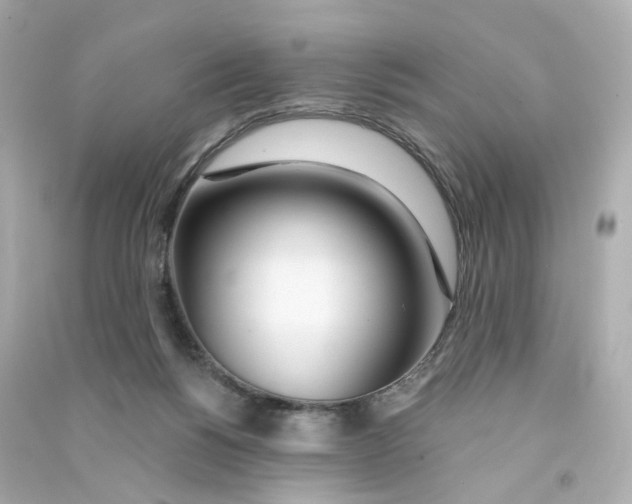 X0000090460168200708102119