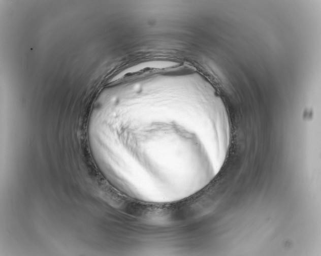 X0000090460169200708102119