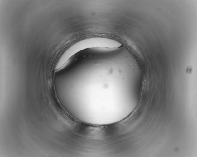 X0000090460170200708102119