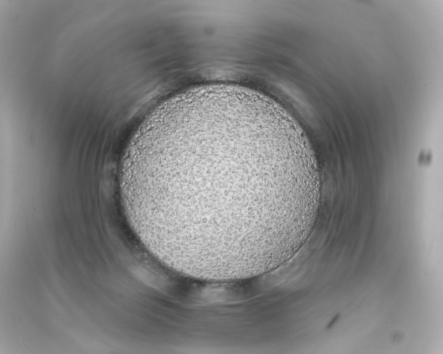 X0000090460171200708102119