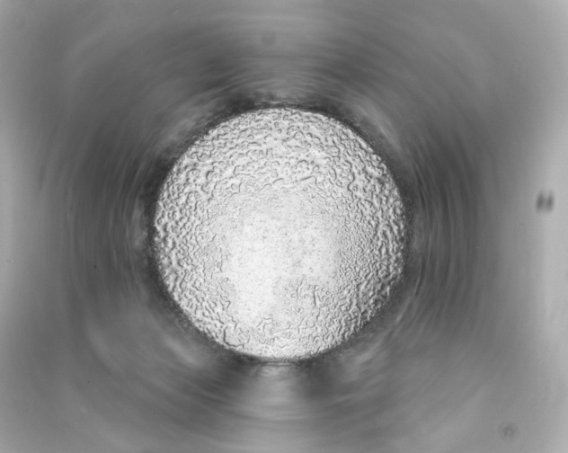 X0000090460173200708102119