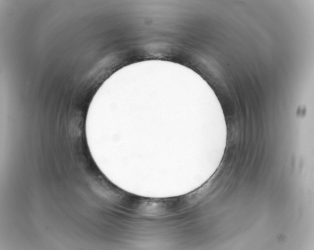 X0000090460174200708102119