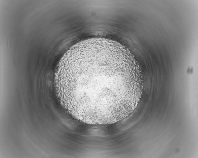 X0000090460175200708102119