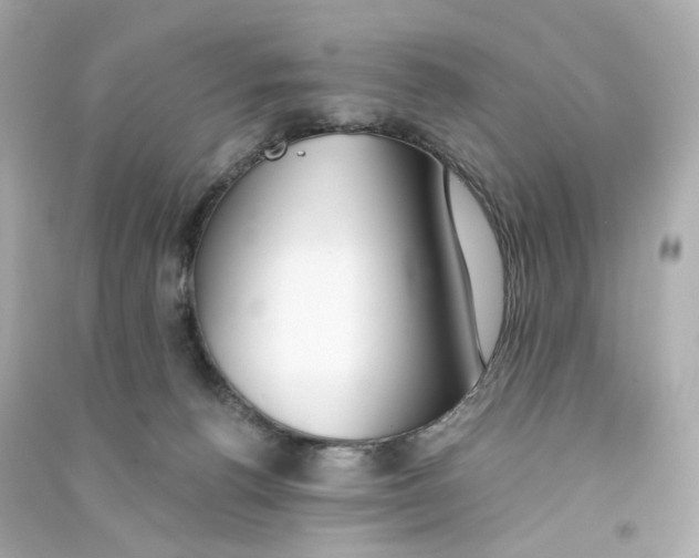 X0000090460176200708102119