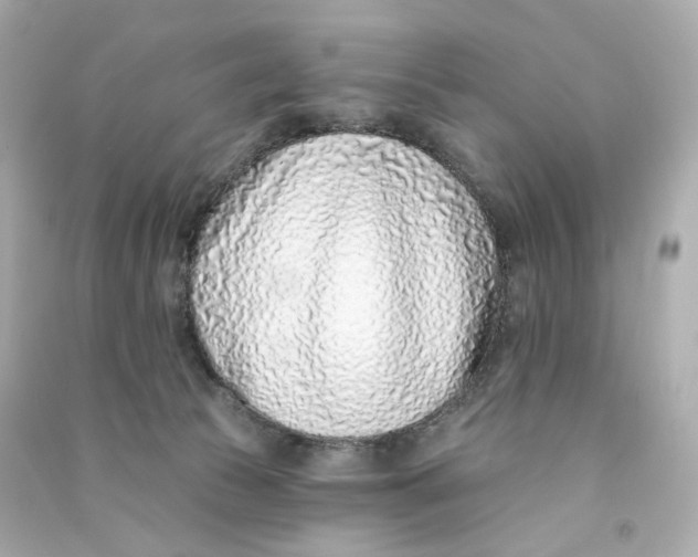 X0000090460177200708102119