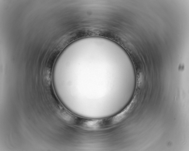 X0000090460178200708102119