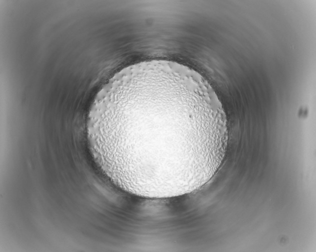 X0000090460179200708102119