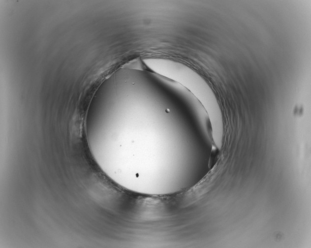 X0000090460180200708102119