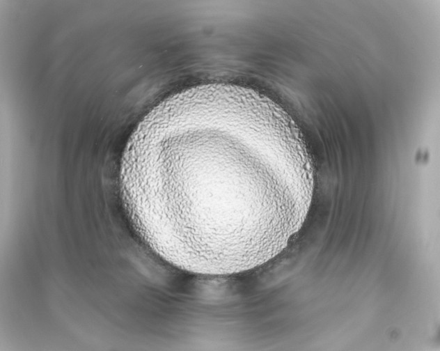 X0000090460181200708102119